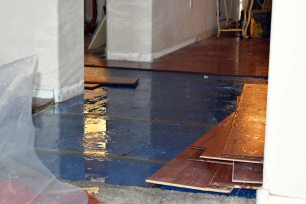 Professional Basement Flood Cleanup technician working in Hollytree, AL
